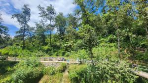 Tay Con Linh Farmstay & Trekking Ha Giang
