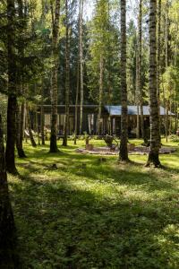 For-rest Užsienis