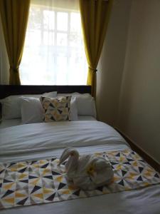 NLN Guest Houses Bungoma County Nakhwana