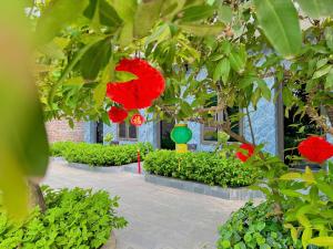 Bees House Ninh Binh
