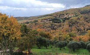 Sotto la Quercia