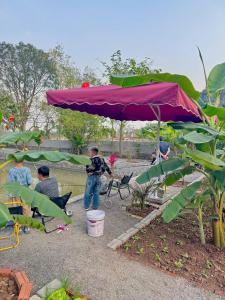 Bees House Ninh Binh
