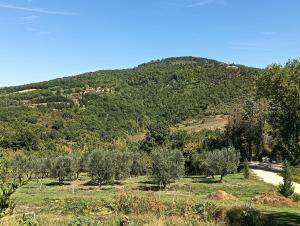Sotto la Quercia