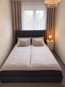 Apartament nad jeziorkiem