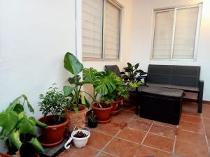 Apartamento Puerto Centro