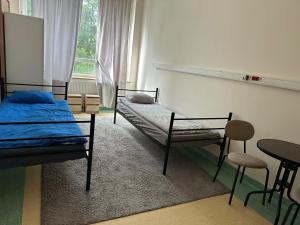 Hostel Milana