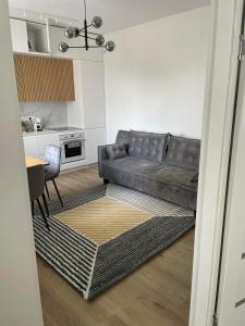 Žaliakalnis Suites