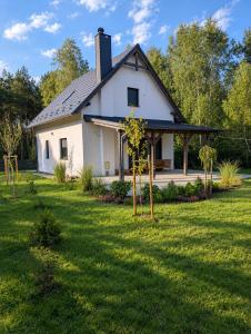 Domek Bory Tucholskie Laso Przestrzeń
