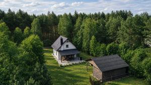 Domek Bory Tucholskie Laso Przestrzeń