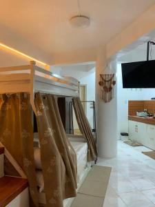 Beachfront Family Studio- 2,Double Beds
