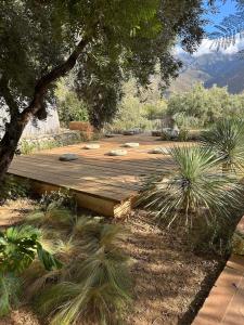 Casa Papillon