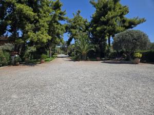 Evia Blue Paradise, Beachfront Villa