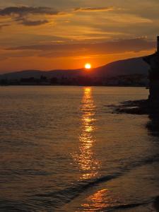 Evia Blue Paradise, Sea Front, Beachfront Villa, Frontline Villa, Eretria, Evia, Greece
