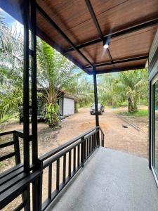 Palm tree resort