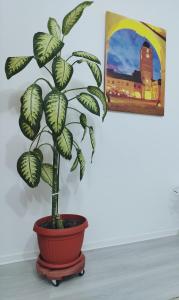 Nicoleta Apartment