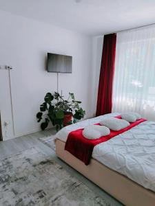 Nicoleta Apartment