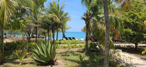 Enai del mar island