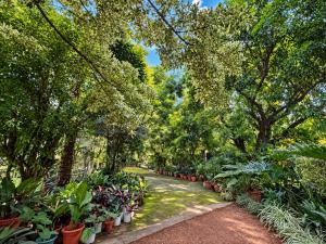 One bedroom Shanty botanical by The Prime Escape