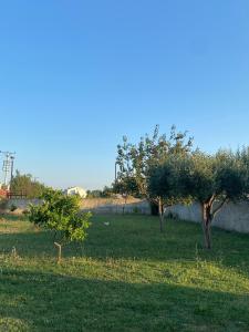 Al mare tale 2