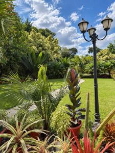 Shanty Botanical by The Prime Escape