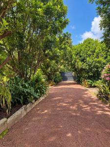Shanty Botanical by The Prime Escape