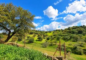 La Casita, Refugio Rural en la sierra