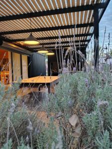 Casita Carbon