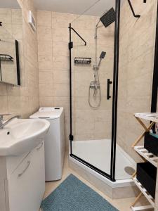 Bystrina - priestranný apartmán s parkovaním