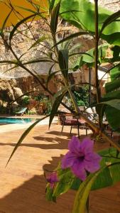 The Little Prince Hotel