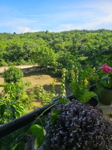 Garden studio