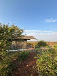 Awesome Masai Camp