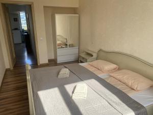 Parliament View Apartment, Gedimino Avenue