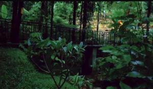 The Nook