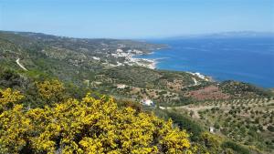 Greek Kythira Golden Sun