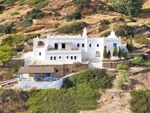 Artistic Villa