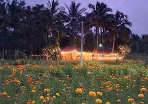 Cabanas of Eden