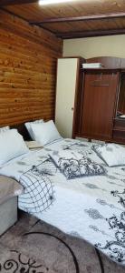 Kitech Guest House