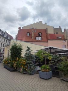 Old Town Pearl Apartment
