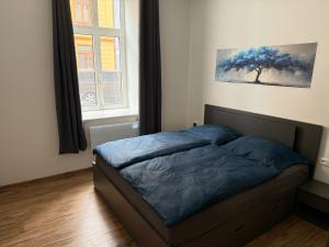 Bratislava Apartman Alex