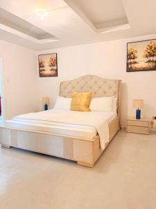 2BR and 1BR Spacious City Apartments with roof-top pool