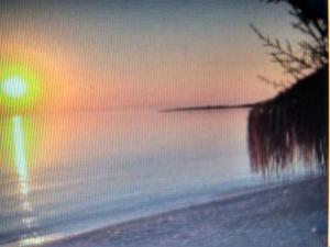 9 Musses Hotel Apartments Lesvos Greece