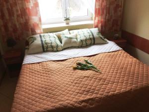 Double Room room in Usługi Hotelowe Modlin Airport