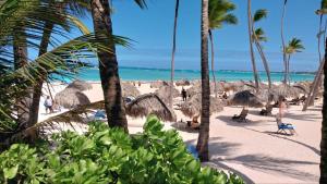 Palapa Tropic Beach Punta Cana