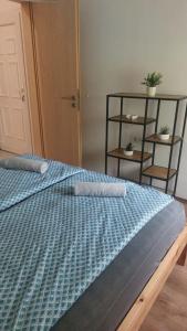 Lizi apartman