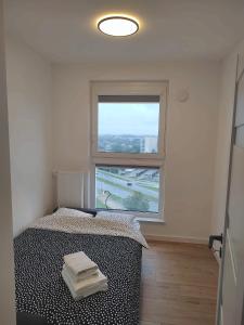 NEW APARTMENT Krakowska 29- przestronny, z widokiem i balkonem