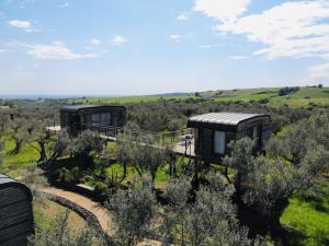 Agriturismo La Piantata 1822