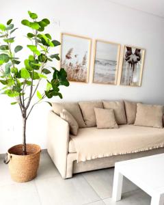 Tiberio Suites 2