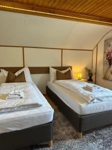 CapoBnB, near Interlaken, mountain view