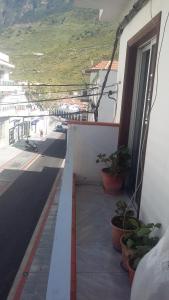 Apartamentos El Valle