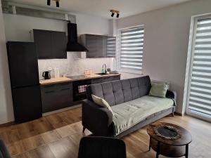 Przytulny Apartament